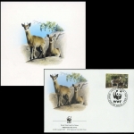 2001, Swaziland, (704) Original