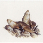 2004, Tristan da Cunha, (822) Original
