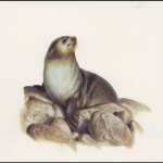 2004, Tristan da Cunha, (823) Original