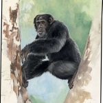 1983, Sierra Leone, (713) Original