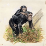 1983, Sierra Leone, (716) Original