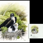 2008, Nauru, (690) Original