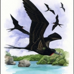 2008, Nauru, (691) Original