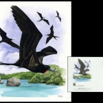 2008, Nauru, (691) Original