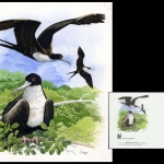 2008, Nauru, (692) Original