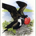 2008, Nauru, (693) Original