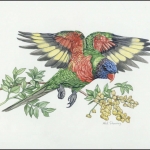 2011, Vanuatu, (1443) Original