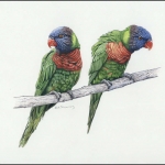 2011, Vanuatu, (1444) Original