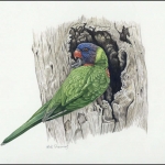 2011, Vanuatu, (1446) Original