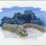 2008, Britisches Territorium im Indischen Ozean, (471) Original