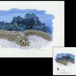 2008, Britisches Territorium im Indischen Ozean, (471) Original