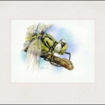 2010, Weissrussland, (826) Original