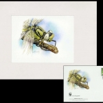 2010, Weissrussland, (826) Original