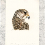 2009, Kirgisien, (579) Original