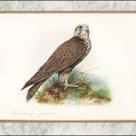 2009, Kirgisien, (580) Original