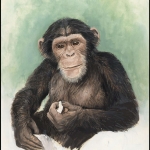 1983, Sierra Leone, (714) Original