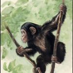 1983, Sierra Leone, (715) Original