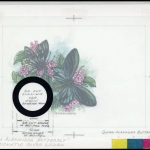 1988, Papua Neuguinea, Original NB