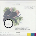 1985, Mauritius, Original NB