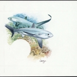 2002, Tokelau Inseln, Original NB