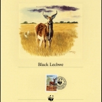 1987, Sambia, 441 KD USA