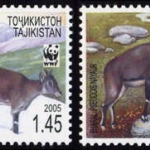 2005, Tadschikistan, 392-95, **