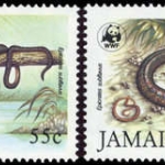 1984, Jamaica, 591-94, **