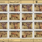 2009, Tadschikistan, 527-30 KB ZD, **