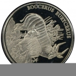 Münzen Alle Welt, WWF