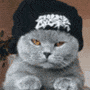 Котофеич