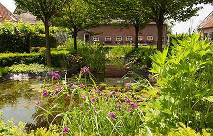 Vakantieboerderij Carre Suite De Iep