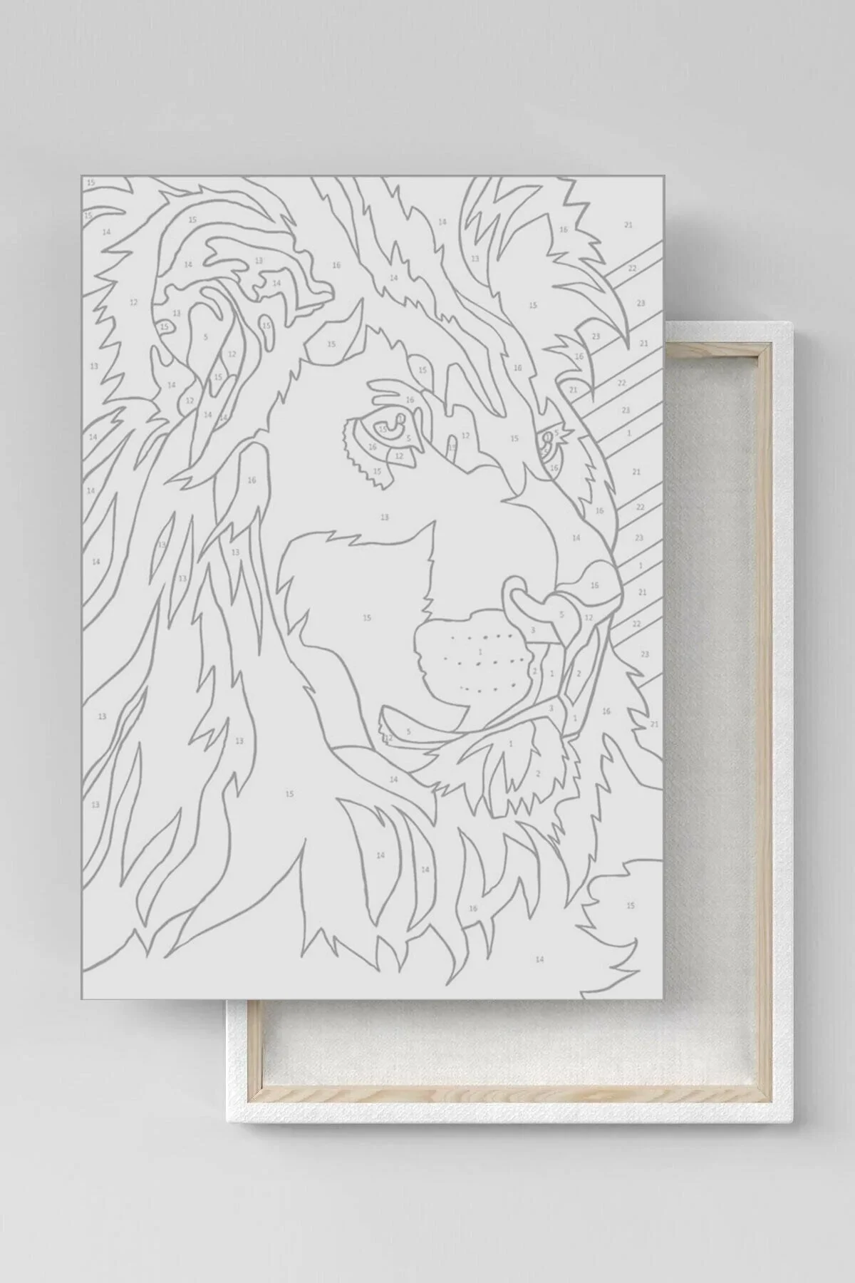 Sayılarla Boyama Seti Çerçeveli Kasnaklı Zengin Kız 60x75 Cm - Görsel 5