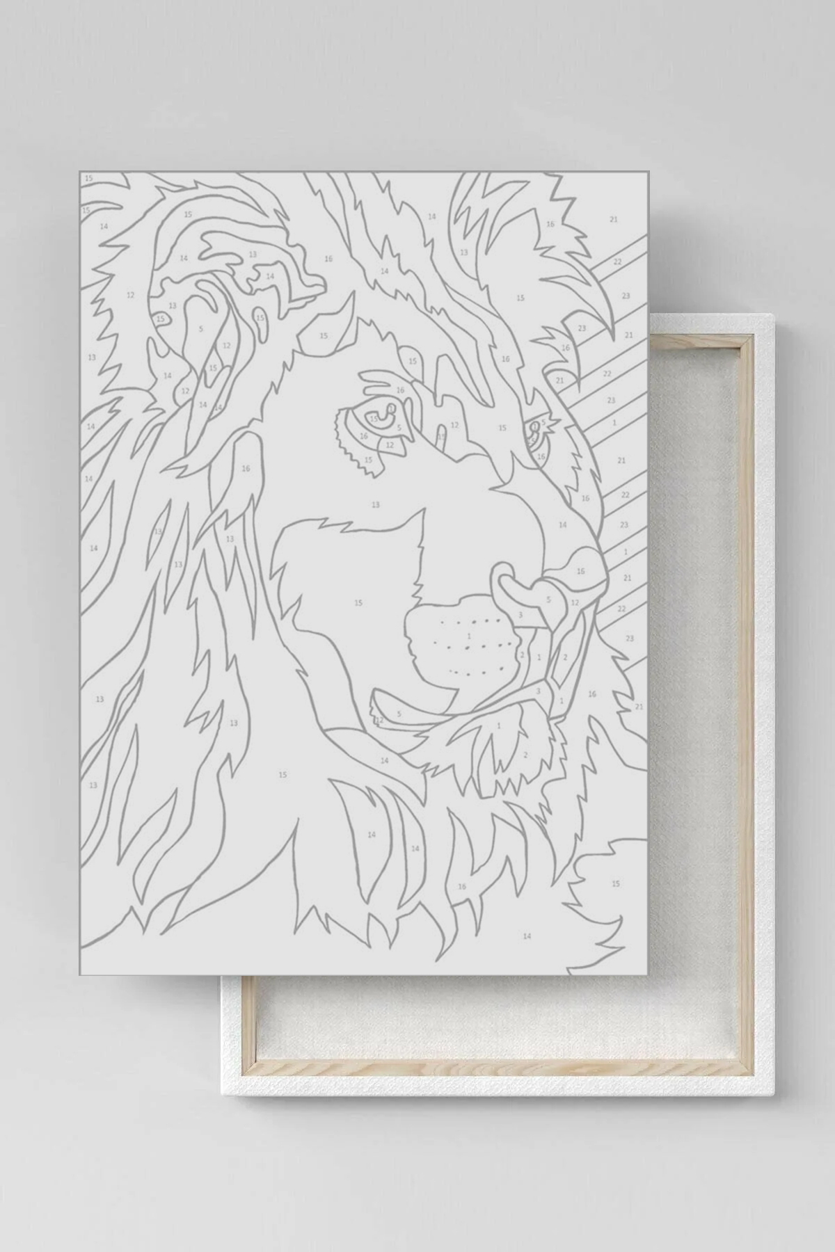 Sayılarla Boyama Seti Çerçeveli Kasnaklı Renkli Müzisyen Adam - Görsel 5