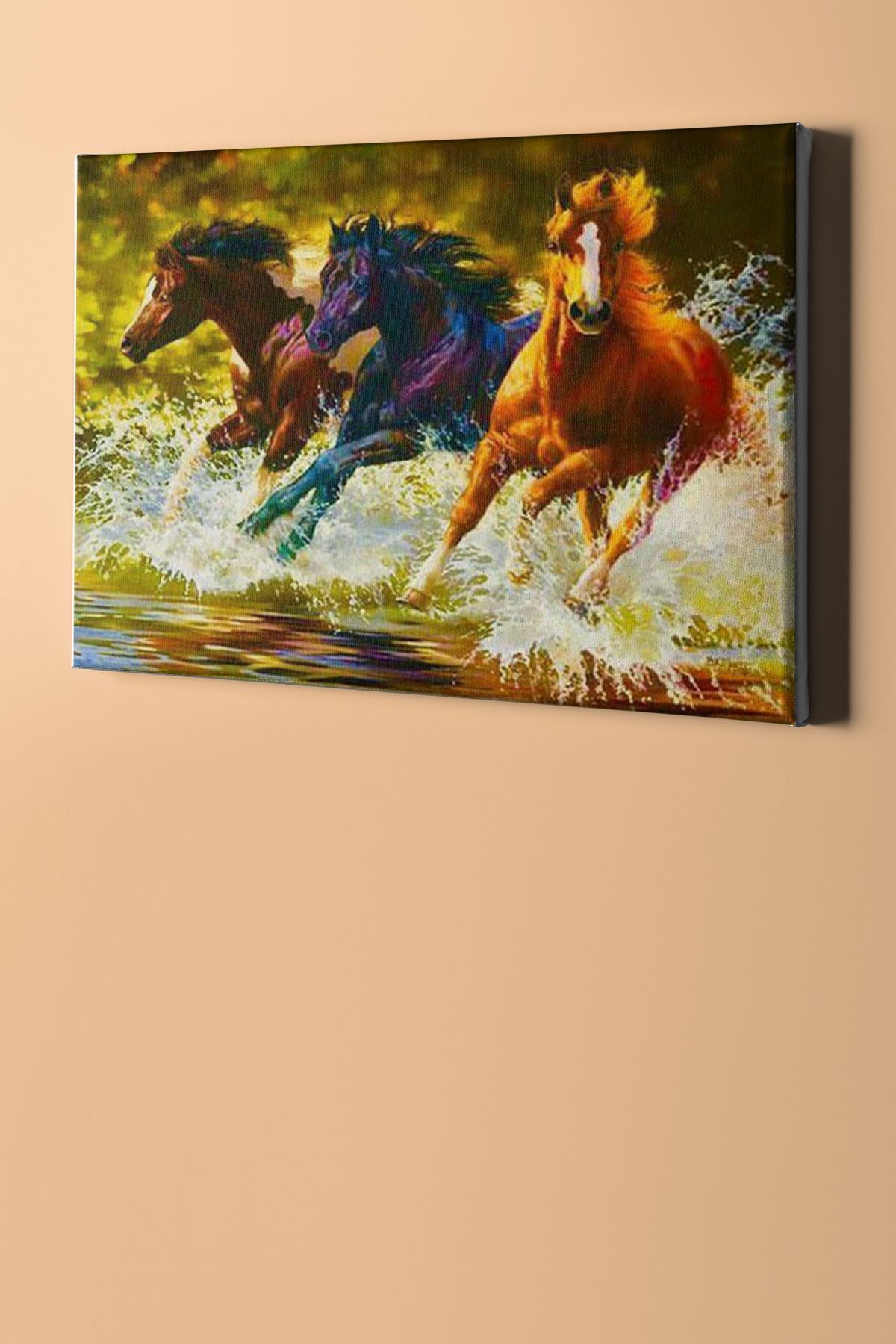 Sayılarla Boyama Seti Çerçeveli Kasnaklı 3 At - Görsel 2