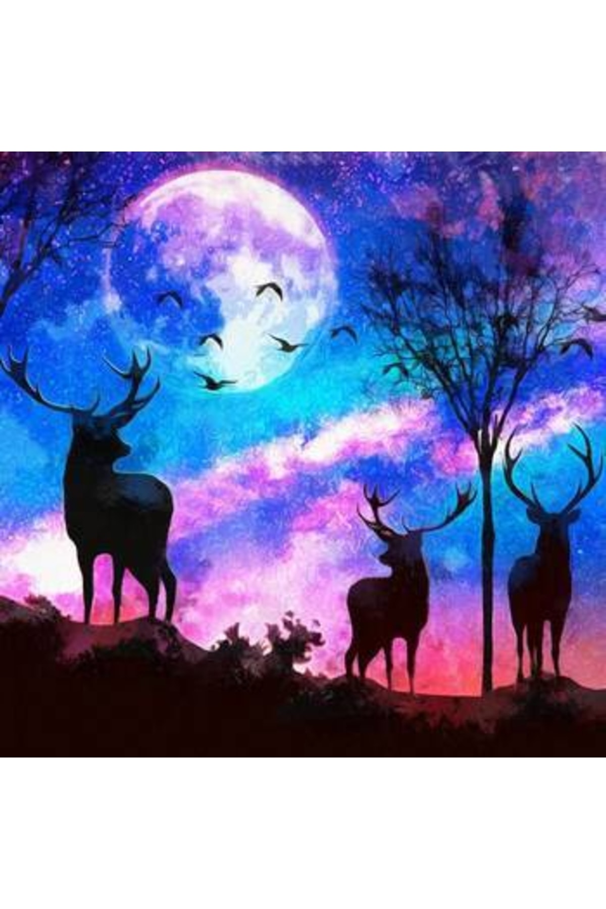 Sayılarla Boyama Seti Çerçeveli Kasnaklı 3 Dost - Görsel 2