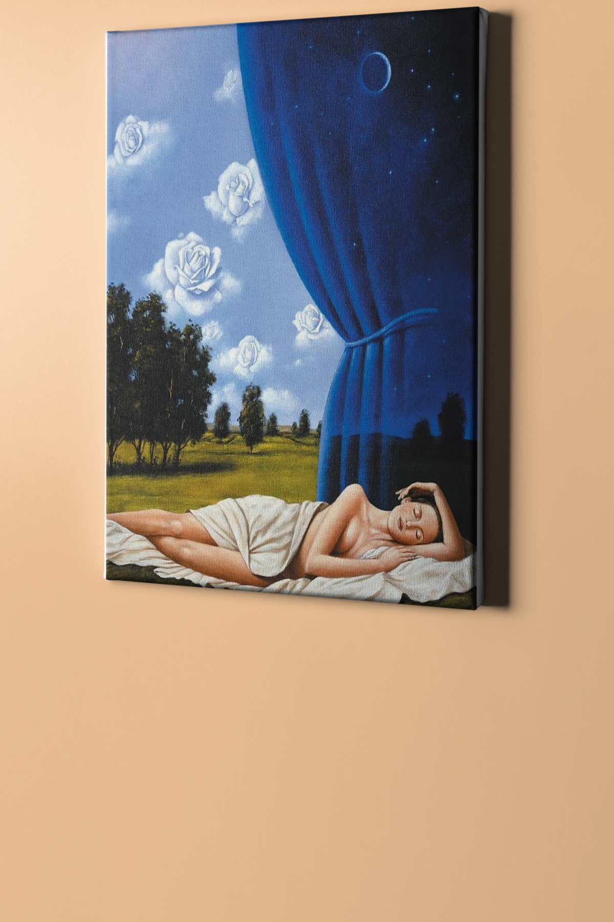 Sayılarla Boyama Seti Kasnaklı Benim Rüyam - Görsel 2