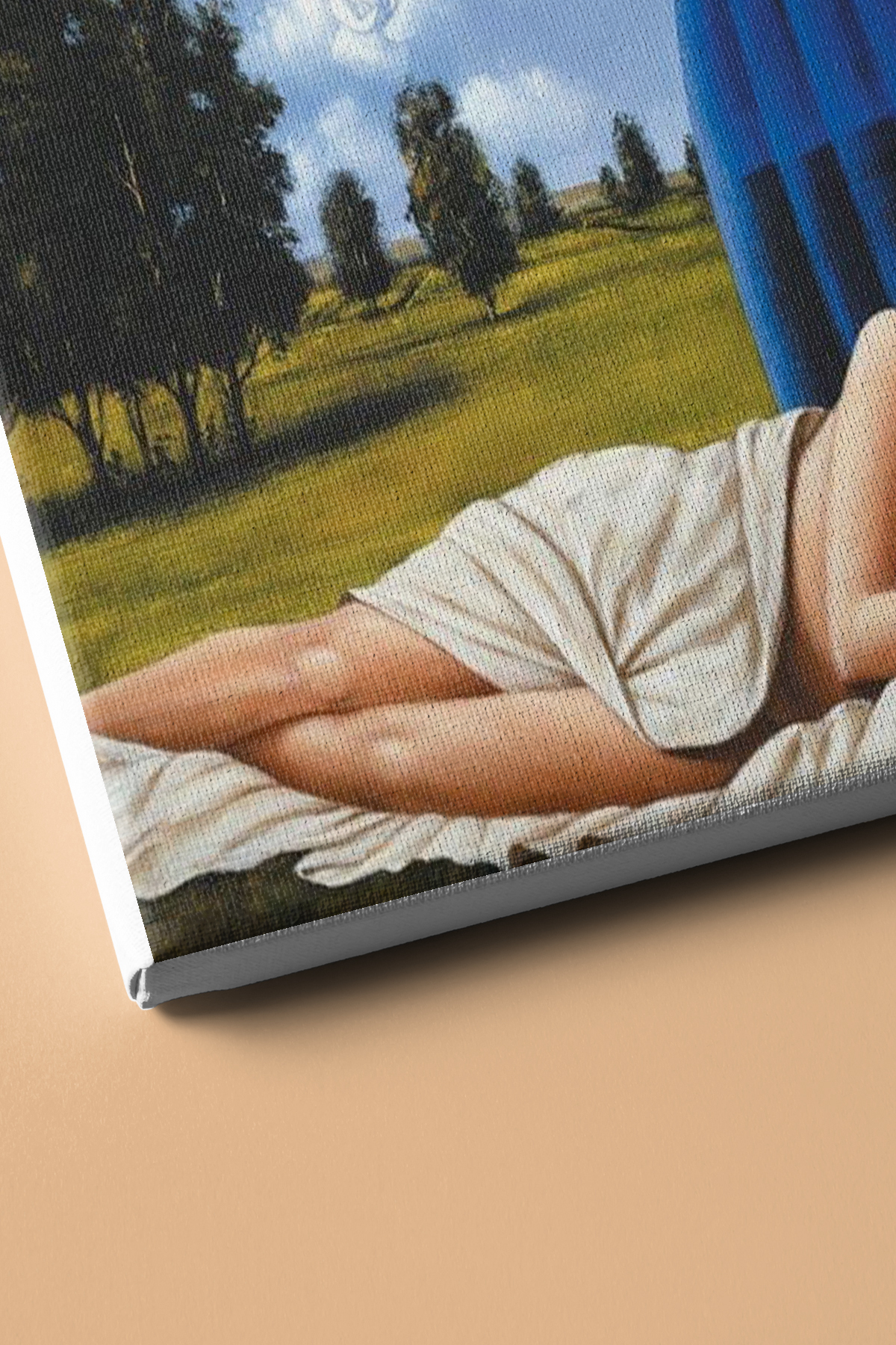 Sayılarla Boyama Seti Kasnaklı Benim Rüyam - Görsel 3