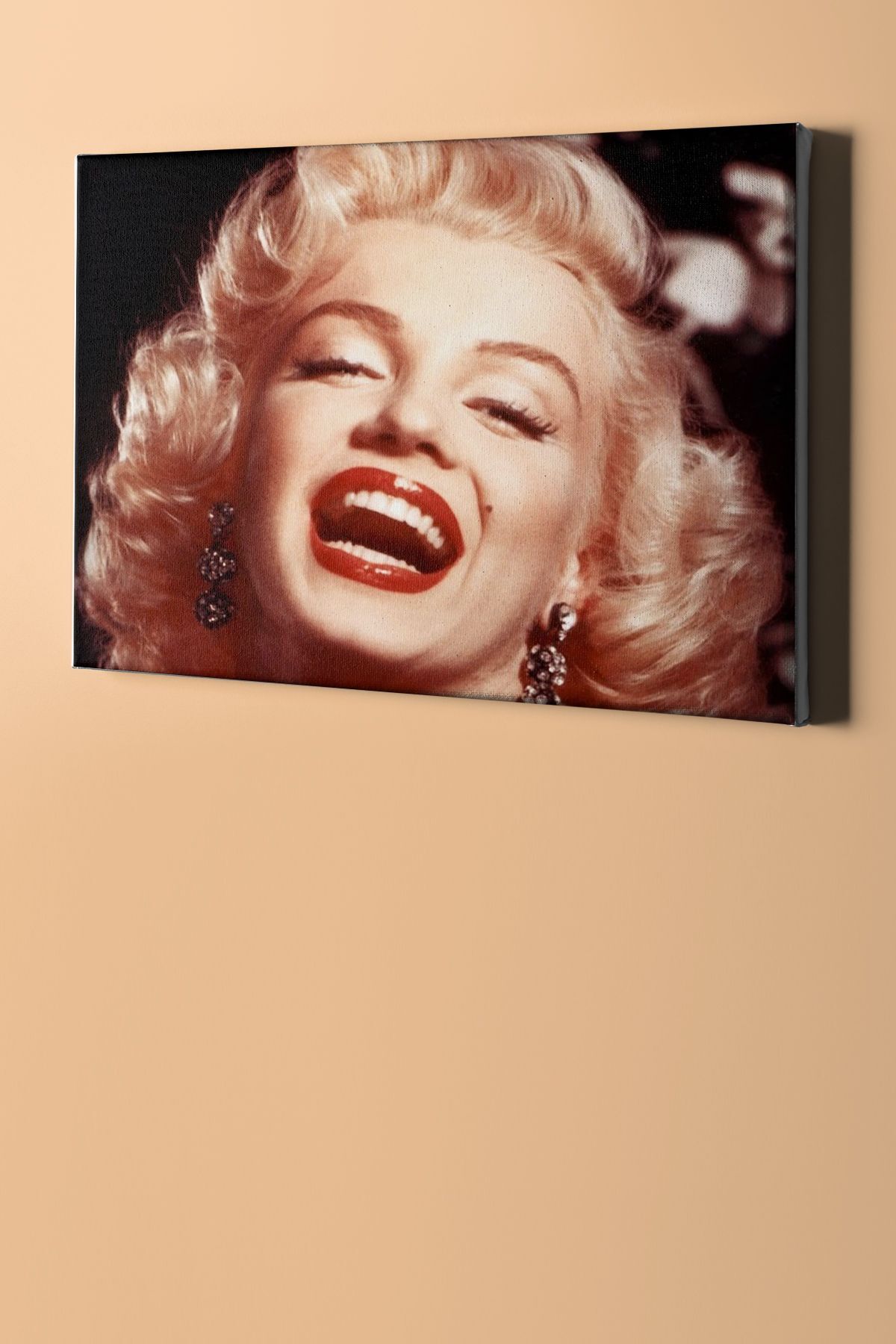 Sayılarla Boyama Seti Kasnaklı Monreo Gülüşü - Görsel 2