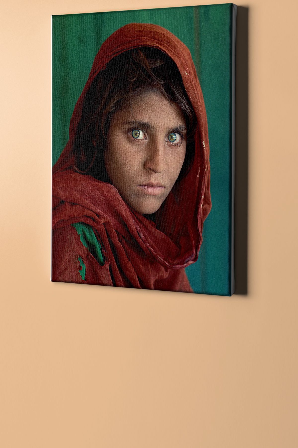 Sayılarla Boyama Seti Kasnaklı Afgan Kız - Görsel 2