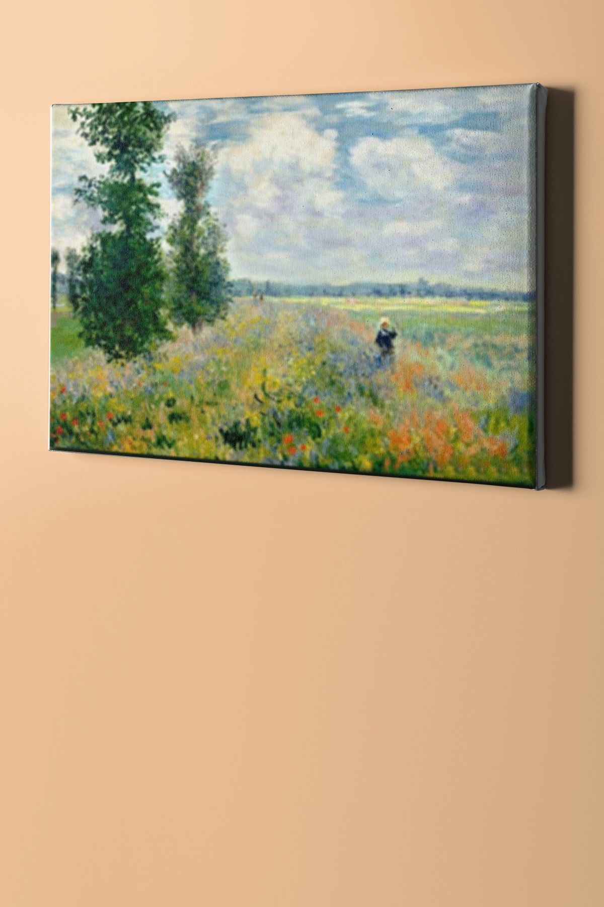 Sayılarla Boyama Seti Kasnaklı Monet Bahçe - Görsel 2