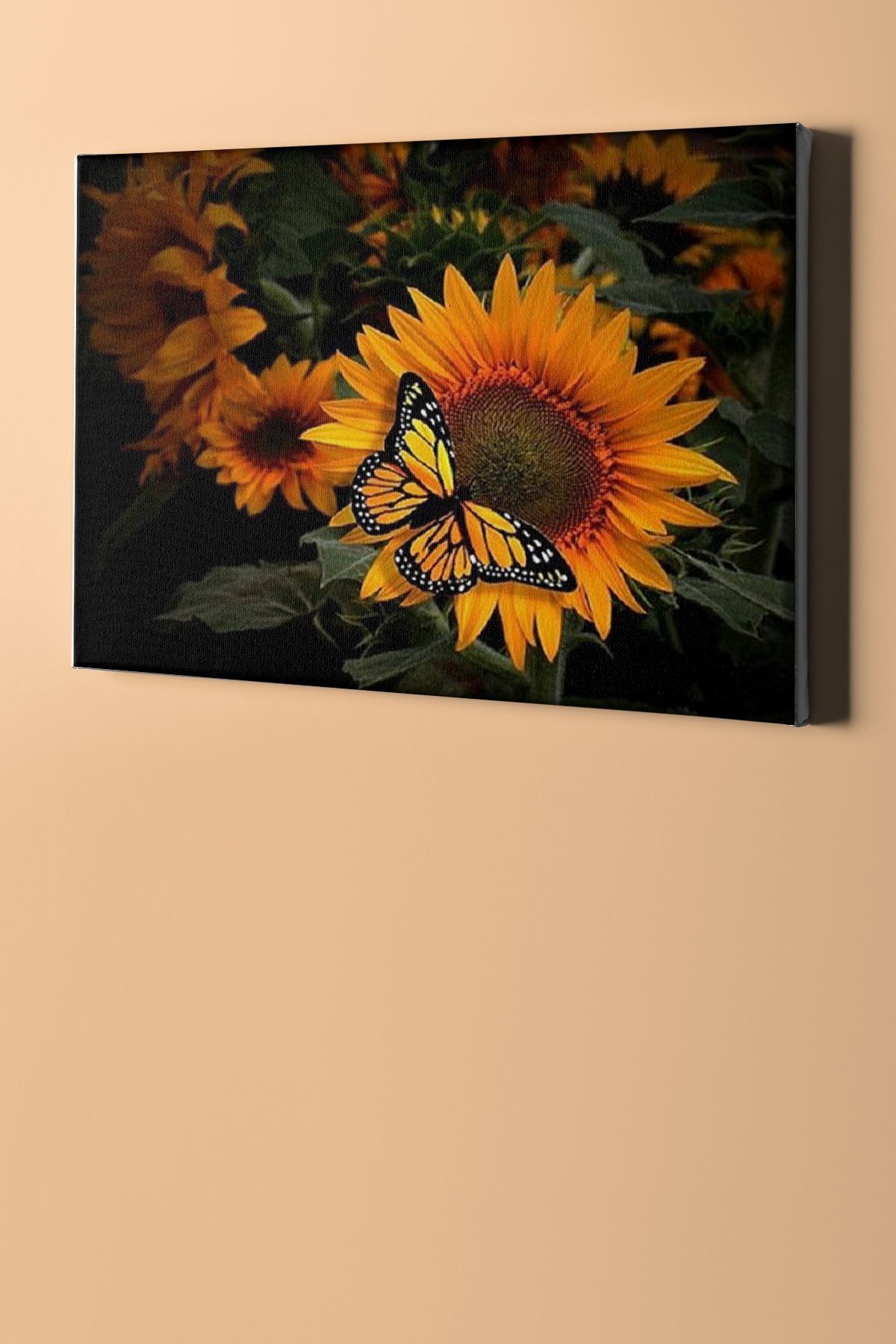 Sayılarla Boyama Seti Kasnaklı Kelebeğin Keyfi - Görsel 2