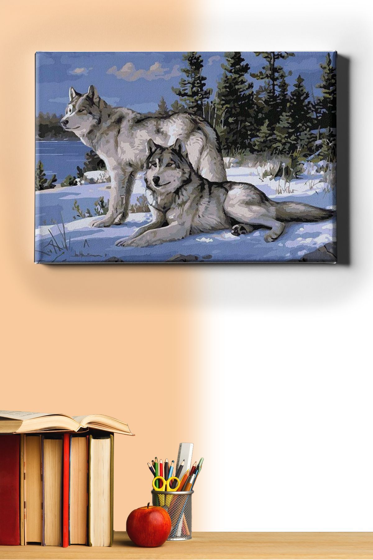 Sayılarla Boyama Seti Kasnaklı Kurtlar Ve Kar