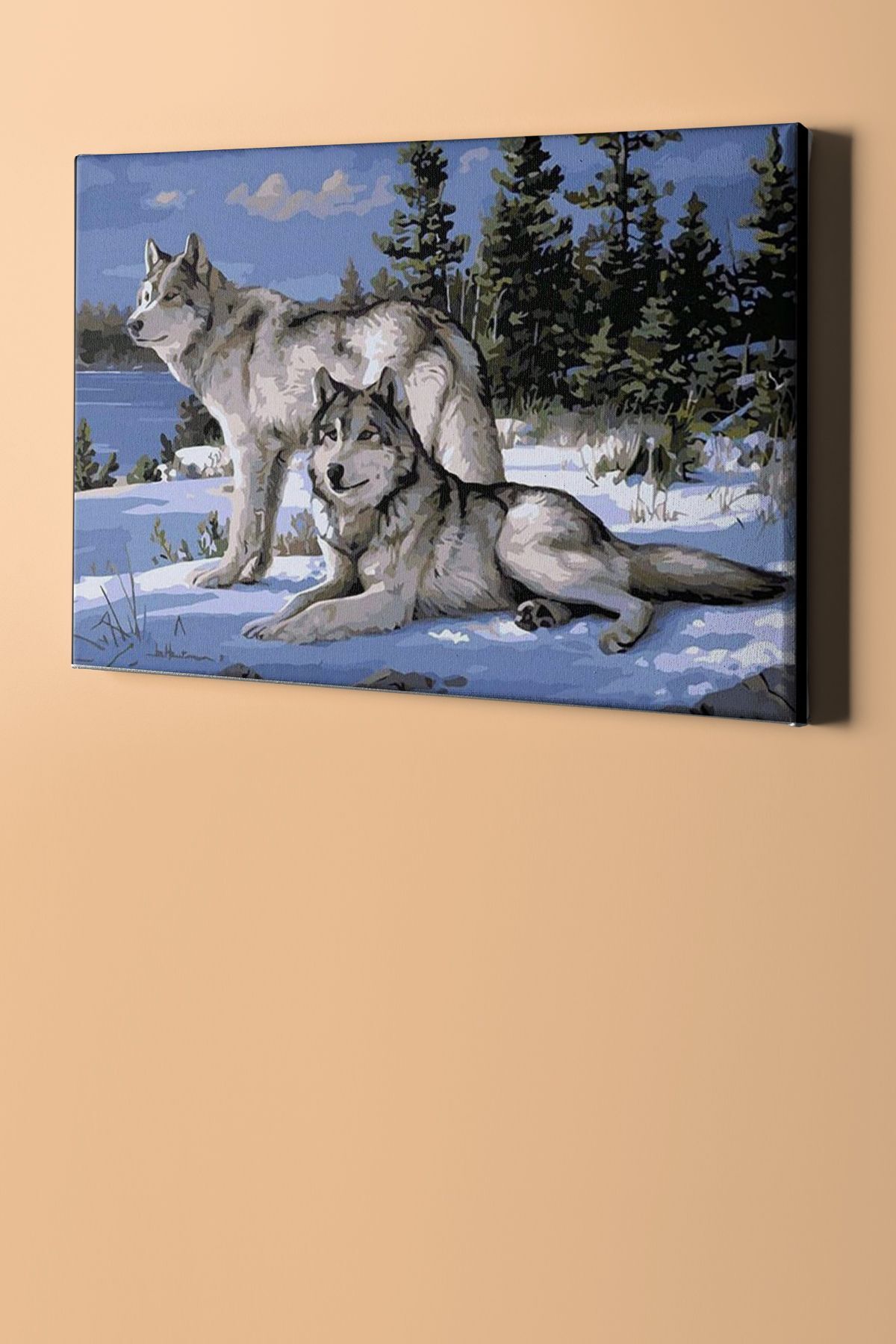 Sayılarla Boyama Seti Kasnaklı Kurtlar Ve Kar - Görsel 2