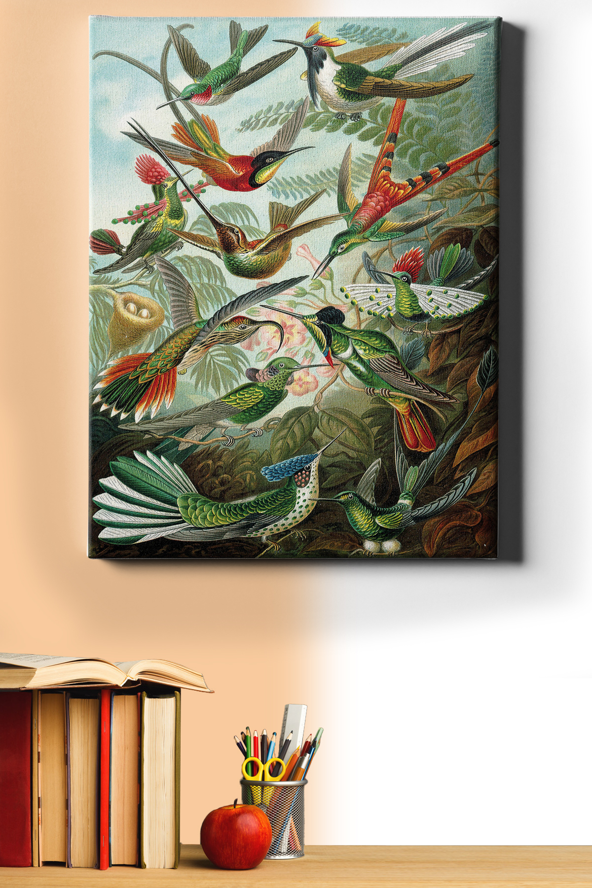 Sayılarla Boyama Seti Kasnaklı Kuşlar