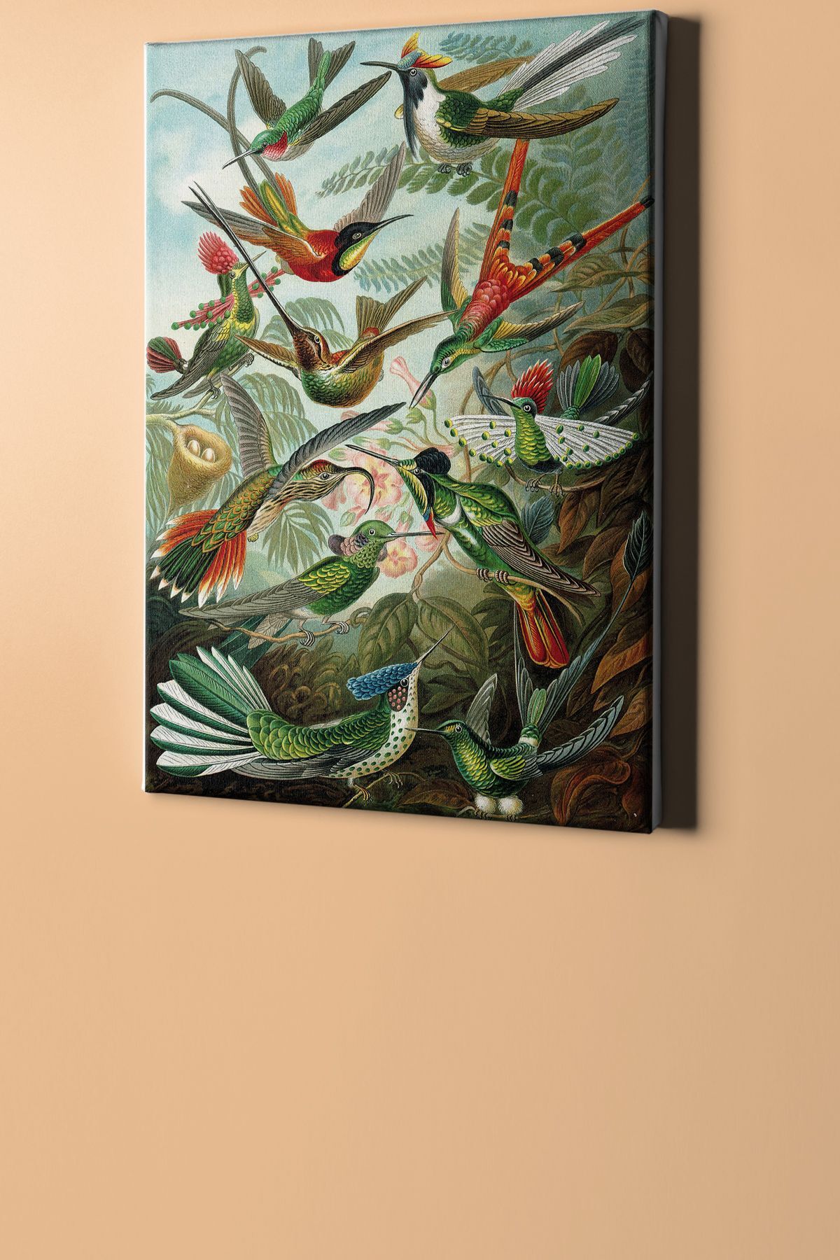 Sayılarla Boyama Seti Kasnaklı Kuşlar - Görsel 2