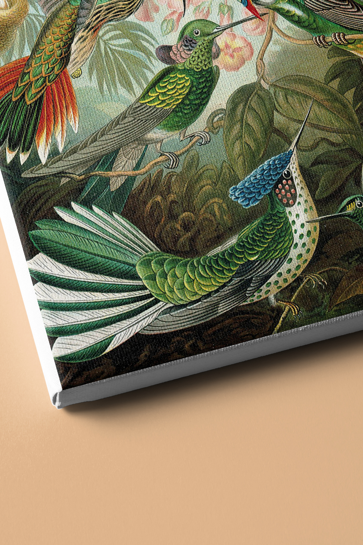 Sayılarla Boyama Seti Kasnaklı Kuşlar - Görsel 3