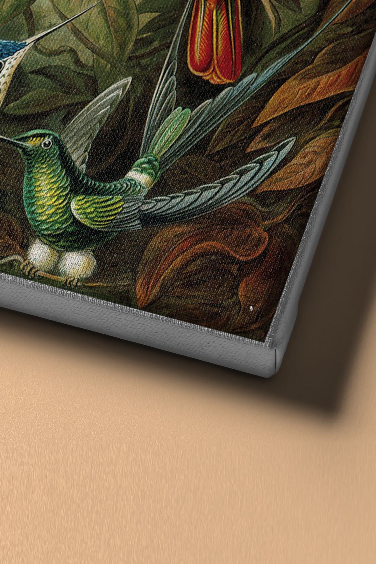 Sayılarla Boyama Seti Kasnaklı Kuşlar - Görsel 4