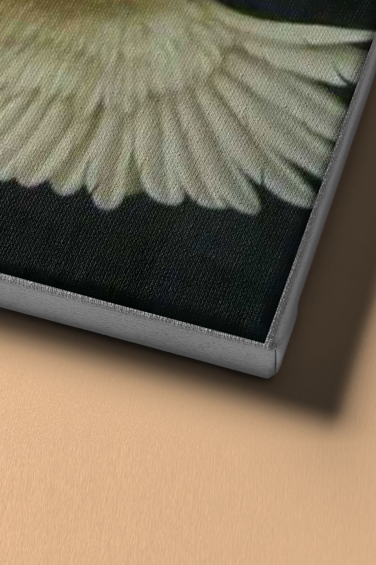 Sayılarla Boyama Seti Kasnaklı Çifte Kumrular - Görsel 4