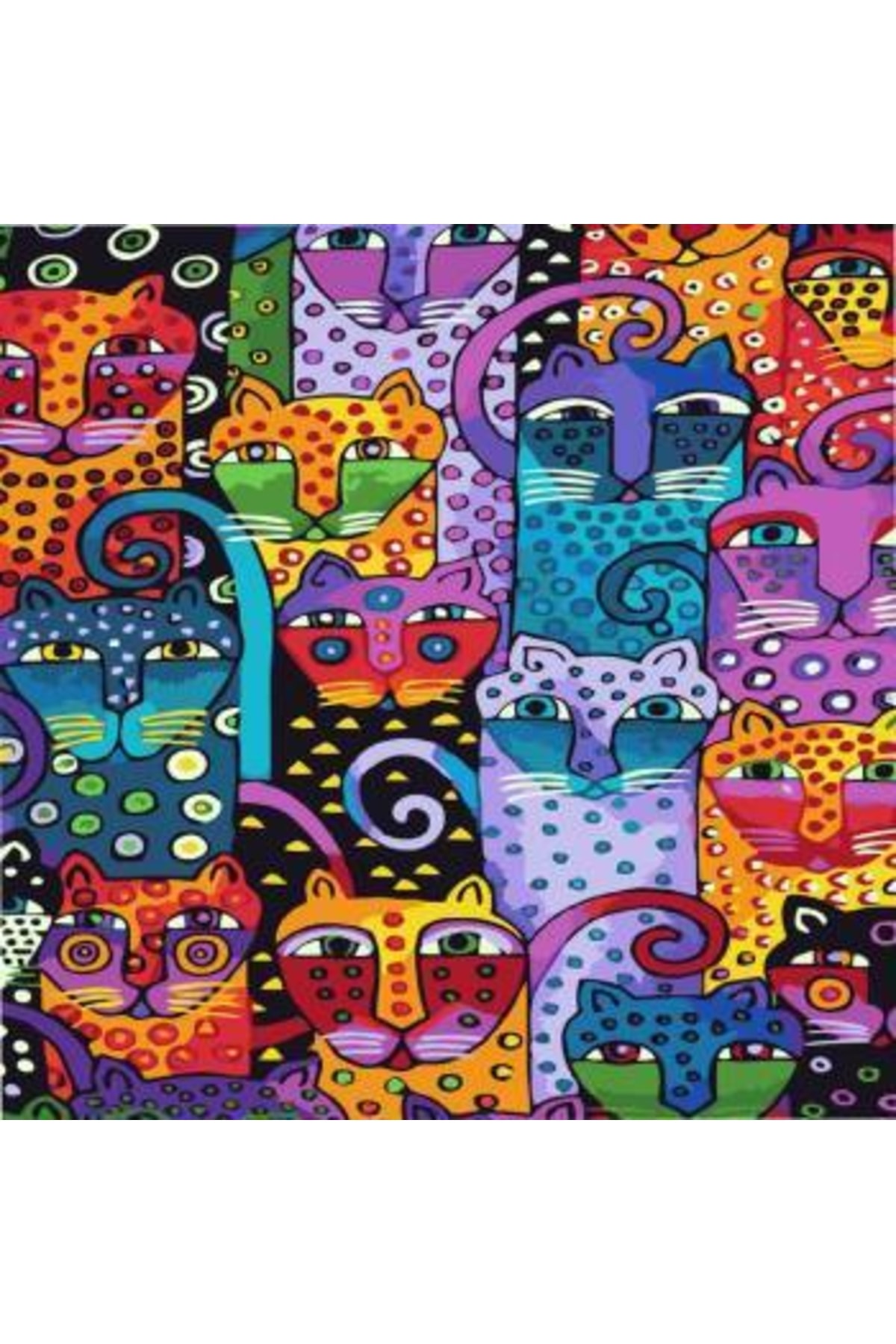 Sayılarla Boyama Seti Kasnaklı Soyut Kediler