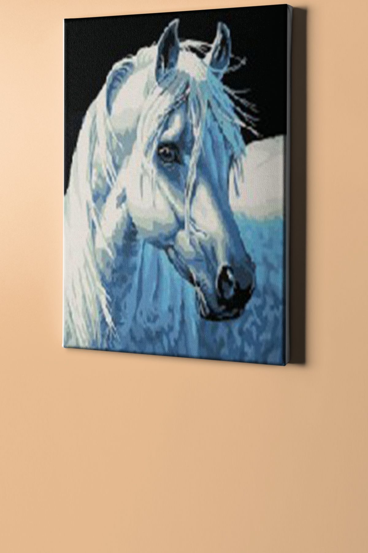 Sayılarla Boyama Seti Kasnaklı Kırat - Görsel 2